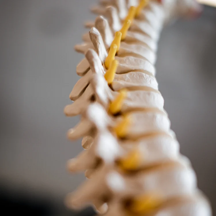 Durango Colorado Chiropractor